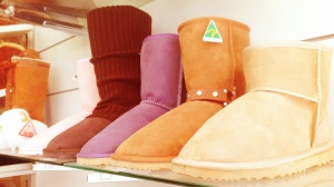 Coloured Ugg Boots