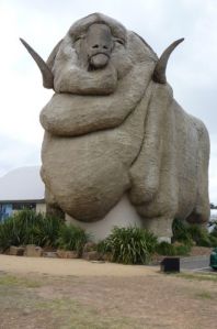 The Big Merino is a way in which Australians express love for merino sheepskin.